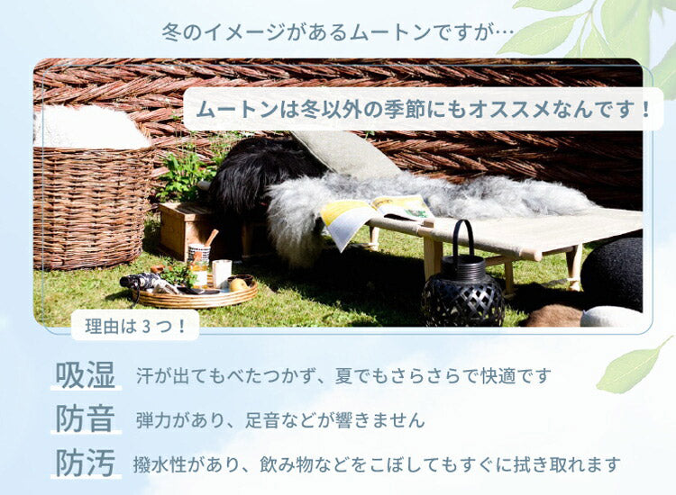 ムートン羊君 シートクッション ムートンラグ 羊 ムートンクッション グレー グレージュ ひつじ かわいい(代引不可)