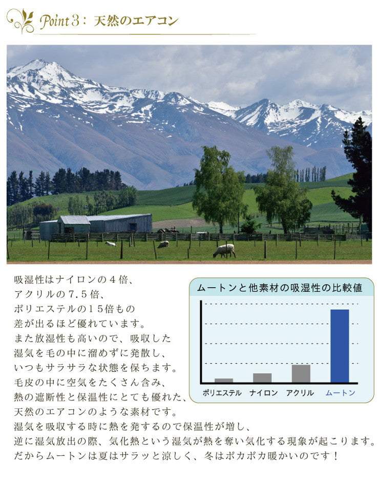ムートンラグ 2匹サイズ ニュージーランド産 短毛 ムートン ラグ 毛皮 マット ソファー カーペット 毛皮ラグ 絨毯 天然(代引不可)