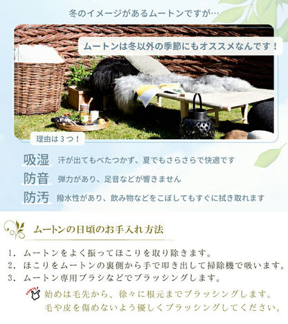 ムートン お手入れ セット ムートンスプレー ムートン専用お手入れブラシ ムートンラグ ムートンクッション ムートンシーツ ムートンブラシ ブラッシング メンテナンス くせ毛直し 長毛 短毛(代引不可)
