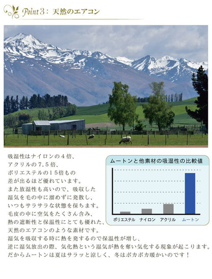 ムートンラグ 1匹サイズ ニュージーランド産 長毛 ムートン ラグ 毛皮 マット ソファー カーペット ファー ソファー 羊 もこもこ 毛皮ラグ 敷物 クッション 座布団 ムートンフリース 絨毯 天然 ファートン あったか (代引不可)