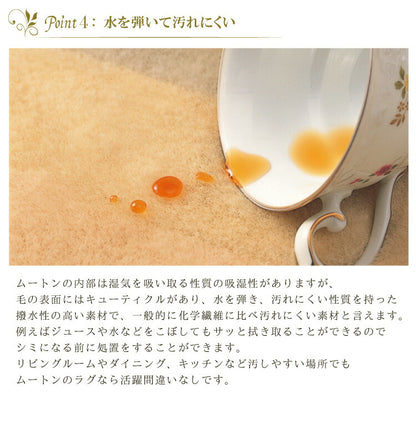 ムートンラグ 1匹サイズ ニュージーランド産 長毛 ムートン ラグ 毛皮 マット ソファー カーペット ファー ソファー 羊 もこもこ 毛皮ラグ 敷物 クッション 座布団 ムートンフリース 絨毯 天然 ファートン あったか (代引不可)