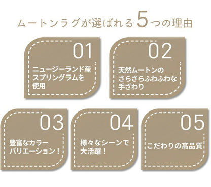 ムートンラグ 2匹サイズ ニュージーランド産 長毛 ムートン ラグ 毛皮 マット ソファー カーペット ファー ソファー 羊 もこもこ 毛皮ラグ 敷物 クッション 座布団 ムートンフリース 絨毯 天然 ファートン あったか (代引不可)