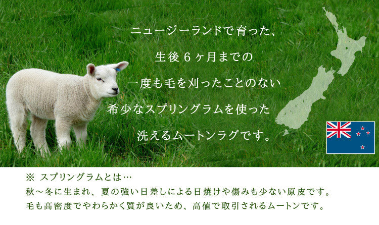 アウトレット 在庫処分 洗える長毛ムートンラグ 1匹 グレー ディープ ピンク 高級天然ムートン ムートンラグ ムートンフリース 長毛(代引不可)