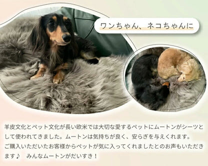 【数量限定】アウトレット 短毛 ムートンラグ 1匹 スプリングラム 原皮 オーストラリア産 ラグ 高品質 選べる16色 ムートン 原皮(代引不可)