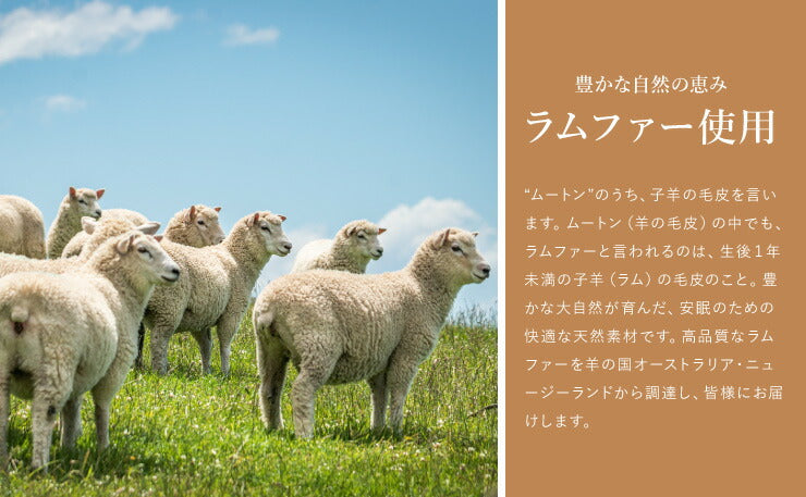 天然素材 ムートン100％ クッション 40×40cm 羊毛クッション 大きい リサイクル おしゃれ かわいい 丸八真綿 座布団 ソファー 背当て 産後 椅子 SDGs リビング 淡い 北欧 韓国インテリア ファートン シートクッション