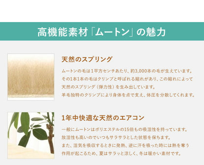 天然素材 ムートン100％ クッション 40×40cm 羊毛クッション 大きい リサイクル おしゃれ かわいい 丸八真綿 座布団 ソファー 背当て 産後 椅子 SDGs リビング 淡い 北欧 韓国インテリア ファートン シートクッション