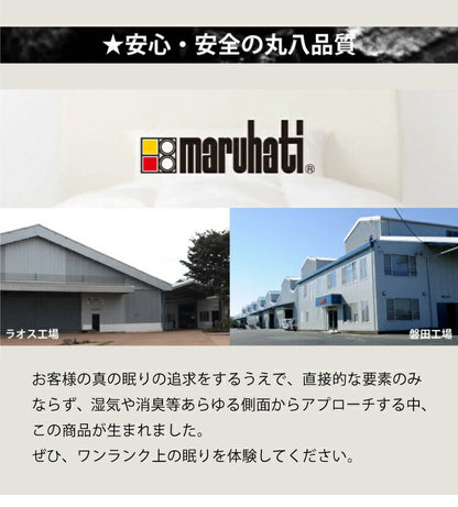 丸八真綿 国産 炭 消臭剤セット 繰り返し使える 消臭 防ダニ カビ 梅雨 ノミ 脱臭 乾燥材 防臭 除湿 湿気 対策 備長炭 押入れ用 タンス用 小袋 下駄箱 マンション 車内(代引不可)