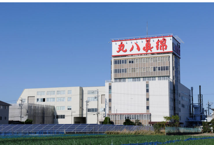 羽毛布団 シングル 増量1.1kg 羽毛90％ 丸八真綿 柄任せ 日本製 北極圏 ホワイトダックダウン90% エクセルゴールド 羽毛ふとん 掛け布団 掛布団 布団 冬