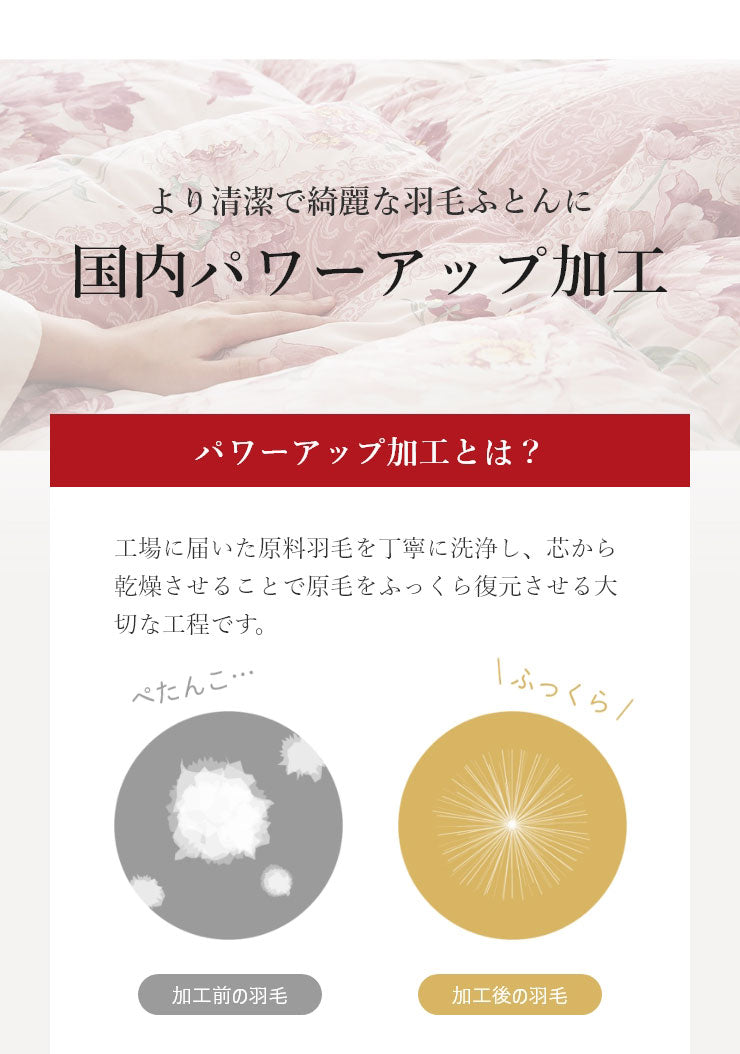 羽毛布団 シングル 増量1.1kg 羽毛90％ 丸八真綿 柄任せ 日本製 北極圏 ホワイトダックダウン90% エクセルゴールド 羽毛ふとん 掛け布団 掛布団 布団 冬