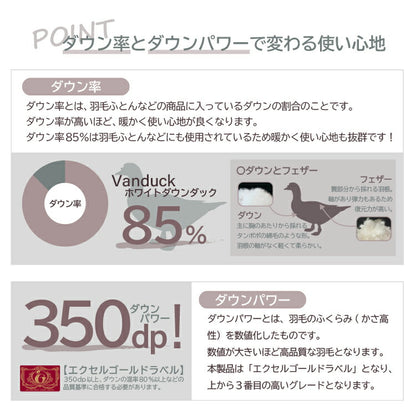 丸八真綿 羽毛肩当て ダウン 85% フリーサイズ 肩あて ウォッシャブル 軽量 保湿 アウトドア キャンプ 防寒 暖かい 重ね着(代引不可)
