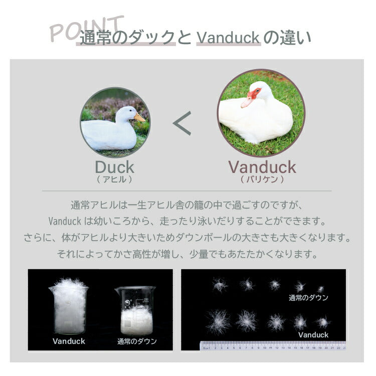 丸八真綿 羽毛レッグウォーマー ダウン 85% フリーサイズ 洗える ウォッシャブル アウトドア キャンプ 防寒 暖かい あったかい 足首ウォーマー 冷房対策 温活 冷え対策(代引不可)