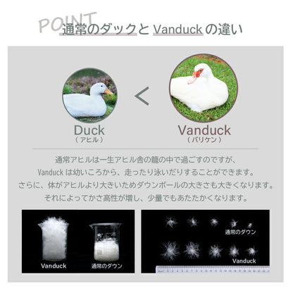 丸八真綿 羽毛レッグウォーマー ダウン 85% フリーサイズ 洗える ウォッシャブル アウトドア キャンプ 防寒 暖かい あったかい 足首ウォーマー 冷房対策 温活 冷え対策(代引不可)
