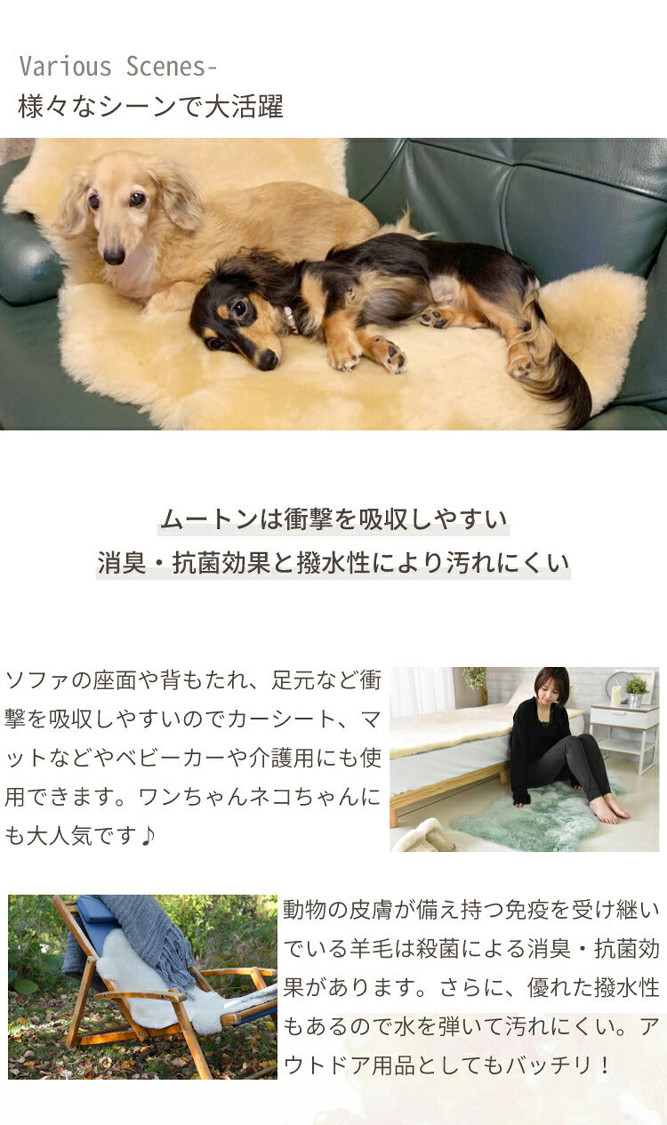 洗える短毛ムートンラグ 1匹サイズ 短毛 ラグ さらさら ふわふわ ムートン ウォッシャブル 新生活 ペット ペットマット ペットラグ くすみカラー(代引不可)