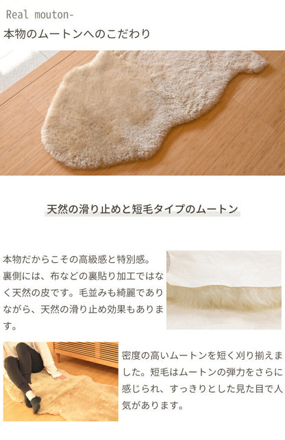 洗える短毛ムートンラグ 2匹サイズ 短毛 ラグ さらさら ふわふわ ムートン ウォッシャブル 新生活 ペット ペットマット ペットラグ くすみカラー(代引不可)