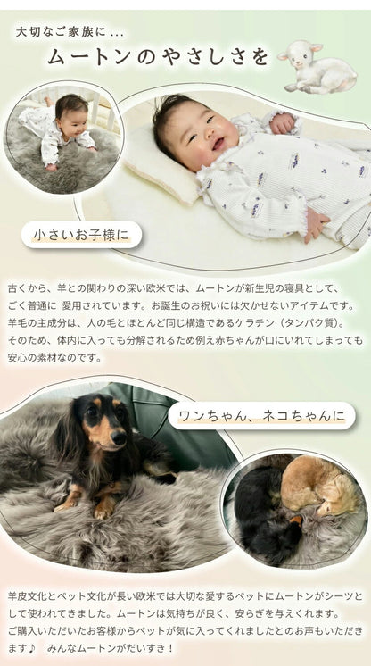 洗える短毛ムートンラグ 2匹サイズ 短毛 ラグ さらさら ふわふわ ムートン ウォッシャブル 新生活 ペット ペットマット ペットラグ くすみカラー(代引不可)