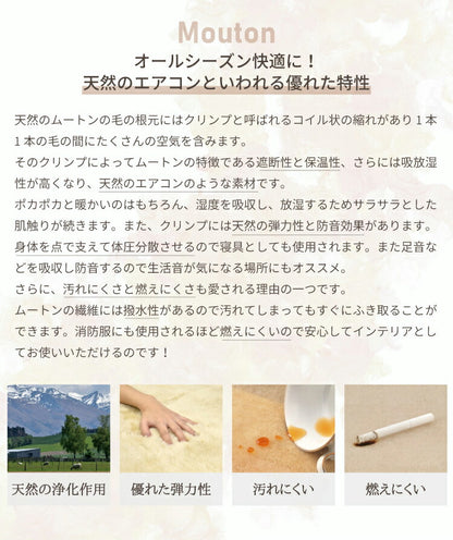洗える短毛ムートンラグ 6匹サイズ 短毛 ラグ さらさら ふわふわ ムートン ウォッシャブル 新生活 ペット ペットマット ペットラグ くすみカラー(代引不可)
