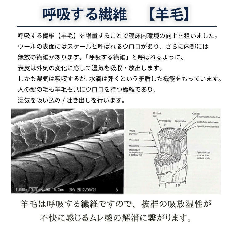 日本製 洗える羊毛ベッドパッド 英国産ハンプシャー種 シングル 洗えるウール ベッドパッド 羊毛100% 洗濯可能 羊毛 ウール 消臭 ベッドパット 羊毛パッド ウールパッド 抗菌防臭加工(代引不可)