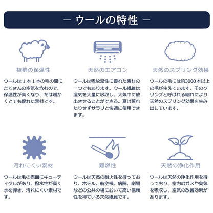 日本製 洗える羊毛ベッドパッド 英国産ハンプシャー種 セミダブル 洗えるウール ベッドパッド 羊毛100% 洗濯可能 羊毛 ウール 消臭 ベッドパット 羊毛パッド ウールパッド 抗菌防臭加工(代引不可)