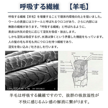 日本製 洗える羊毛ベッドパッド 英国産ハンプシャー種 セミダブル 洗えるウール ベッドパッド 羊毛100% 洗濯可能 羊毛 ウール 消臭 ベッドパット 羊毛パッド ウールパッド 抗菌防臭加工(代引不可)