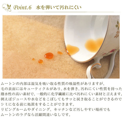 ムートンシートクッション 短毛タイプ 40×40cm 大判サイズ 毛皮 ムートンクッション おしゃれ かわいい モダン シック 北欧風 韓国インテリア 淡い 掠れ(代引不可)