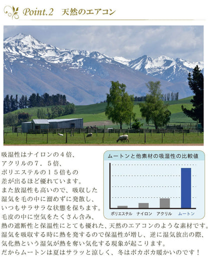 洗えるムートンラグ 1匹サイズ ムートン ラグ 短毛 エアコン対策 在宅 巣ごもり ニュージーランド原皮 毛皮 ウォッシャブル おしゃれ かわいい モダン シック 北欧風 韓国インテリア 淡い 掠れ(代引不可)