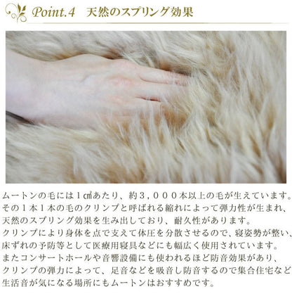 洗えるムートンラグ 1匹サイズ ムートン ラグ 短毛 エアコン対策 在宅 巣ごもり ニュージーランド原皮 毛皮 ウォッシャブル おしゃれ かわいい モダン シック 北欧風 韓国インテリア 淡い 掠れ(代引不可)