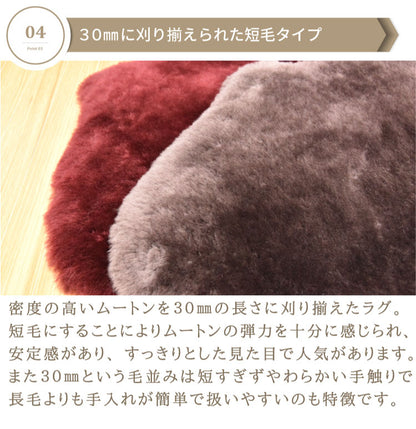 洗えるムートンラグ 1匹サイズ ムートン ラグ 短毛 エアコン対策 在宅 巣ごもり ニュージーランド原皮 毛皮 ウォッシャブル おしゃれ かわいい モダン シック 北欧風 韓国インテリア 淡い 掠れ(代引不可)