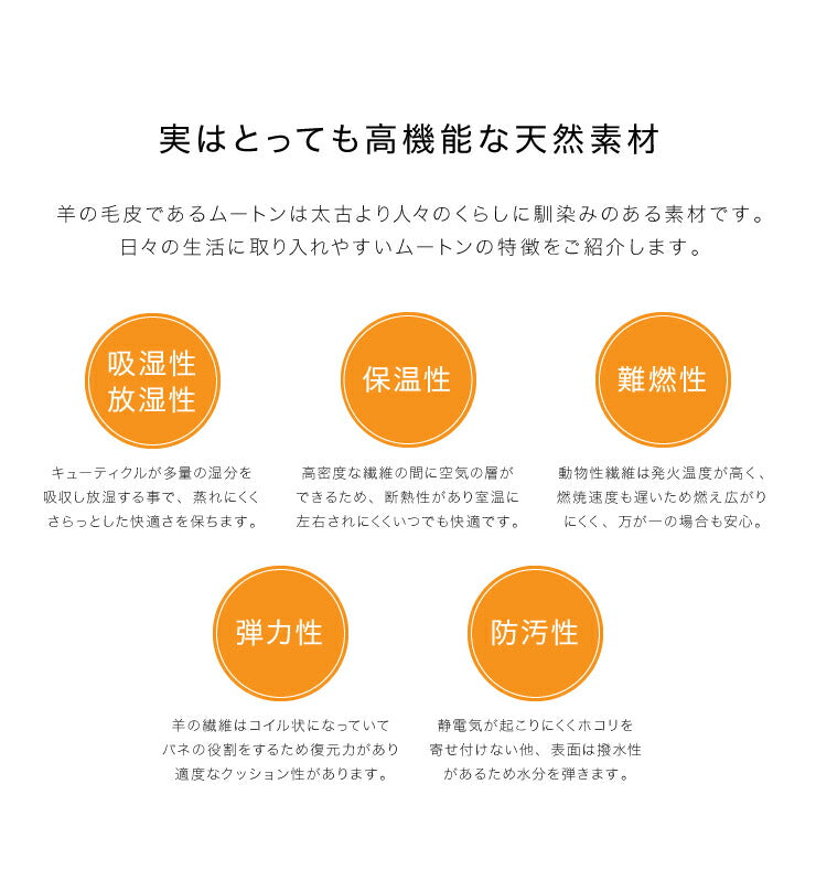 ムートンラグ 1匹サイズ 2枚セット オーストラリア産 長毛 ムートン ラグ もこもこ 毛皮ラグ 敷物 ムートンフリース 60×90