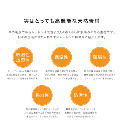 ムートンラグ 1匹サイズ 2枚セット オーストラリア産 長毛 ムートン ラグ もこもこ 毛皮ラグ 敷物 ムートンフリース 60×90