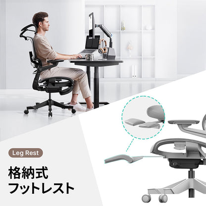 HINOMI H1 PRO V2-L Lサイズ エルゴノミクスチェア Ergonomics CHAIR オフィスチェア デスク オフィス 省スペース 折りたたみ 折りたたみ式フレーム 調整機能 アームレスト ヘッドレスト(代引不可)