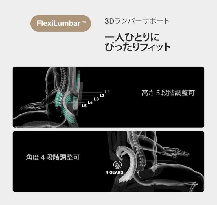 HINOMI H1 PRO V2-M Mサイズ エルゴノミクスチェア Ergonomics CHAIR オフィスチェア デスク オフィス 省スペース 折りたたみ 折りたたみ式フレーム 調整機能 アームレスト ヘッドレスト(代引不可)