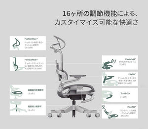 HINOMI H1 PRO V2-S Sサイズ エルゴノミクスチェア Ergonomics CHAIR オフィスチェア デスク オフィス 省スペース 折りたたみ 折りたたみ式フレーム 調整機能 アームレスト ヘッドレスト(代引不可)