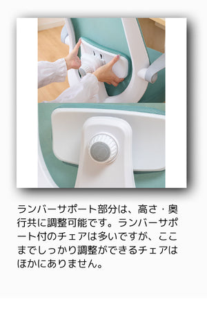 Livli DESK CHAIR アップサイド ドゥ デスクチェア オフィス 椅子 いす イス デスク デスクワーク ランバーサポート オフィスチェア(代引不可)