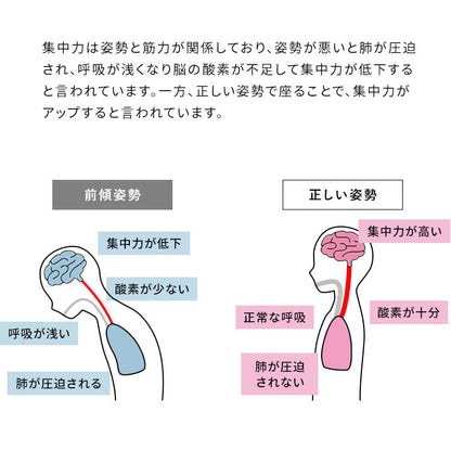 学習椅子 プロポーションチェアキッズ CH-N889CK ホワイト脚 ライトナチュラル脚 学習チェア 背筋が伸びるチェア キッズチェア 子供チェアー 学習イス 学習椅子 椅子 学習 姿勢 高さ調節 学習机 勉強椅子 リビング学習 学習いす 大人 子ども (代引不可)