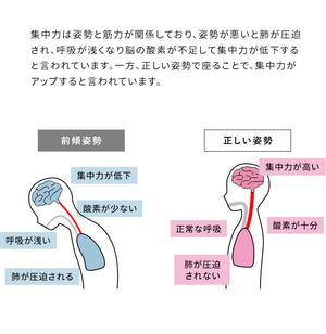 学習椅子 プロポーションチェアキッズ CH-N889CK ホワイト脚 ライトナチュラル脚 学習チェア 背筋が伸びるチェア キッズチェア 子供チェアー 学習イス 学習椅子 椅子 学習 姿勢 高さ調節 学習机 勉強椅子 リビング学習 学習いす 大人 子ども (代引不可)