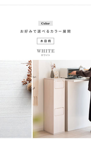 ゴミ箱 ダストボックス 2段プッシュ式 Empro エンプロー 各20リットル対応 ワンプッシュ ダブルプッシュ キッチンペール スリムデザイン 幅25cm ごみばこ 木目調(代引不可)