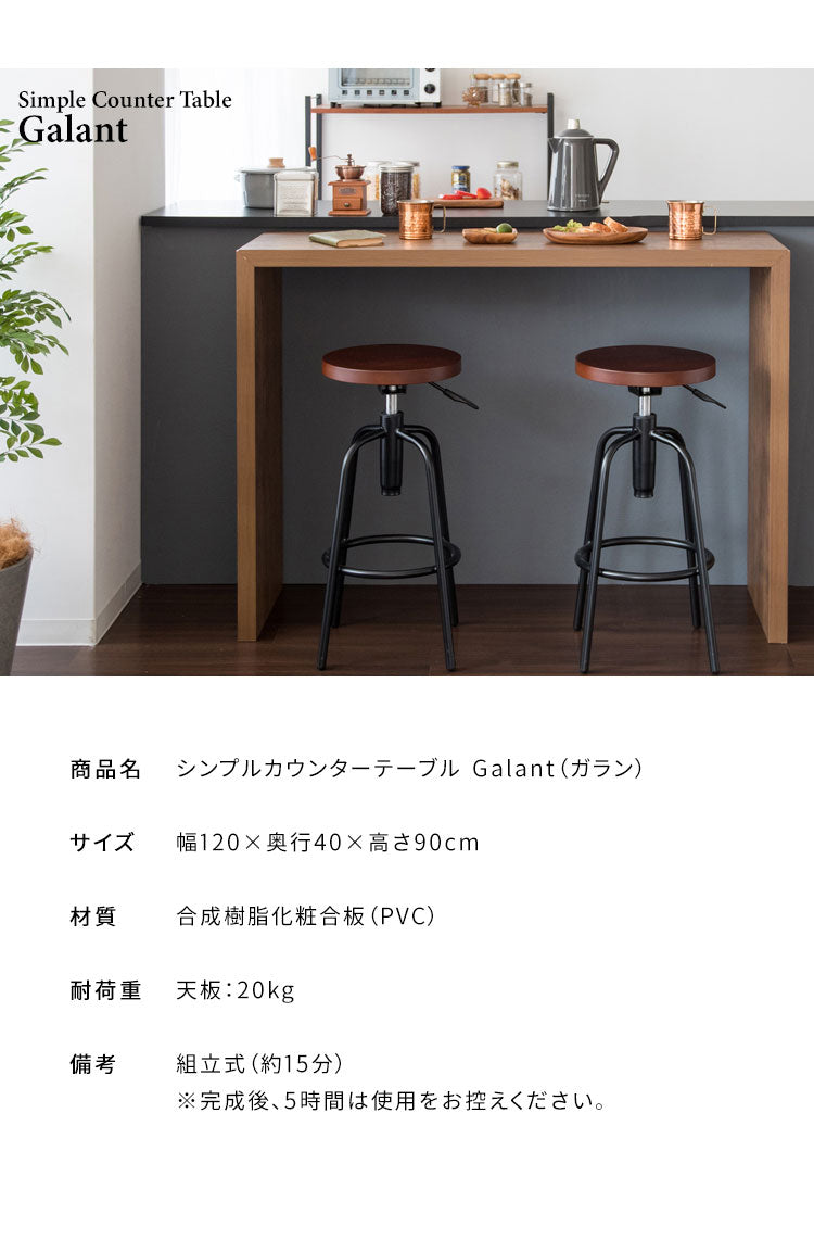 高さ90cm シンプルカウンターテーブル 幅120cm 奥行き40 Visage Neo ビサージュ ネオ スタンディングデスク カウンター パソコンデスク PCデスク 机 在宅ワーク 在宅 テレワーク カウンターテーブル シンプル おしゃれ 省スペース カフェタイム(代引不可)