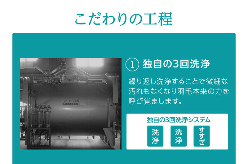 日本製 ニューゴールドラベル ダウンケット 羽毛肌掛け布団 洗える ウォッシャブル 丸洗い 羽毛布団 羽毛ふとん 掛布団 肌かけ 羽毛掛け布団 シングル 掛け布団 かけふとん WDD 春 夏 吸湿性 秋 オールシーズン 保温性