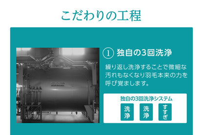 日本製 ニューゴールドラベル ダウンケット 羽毛肌掛け布団 洗える ウォッシャブル 丸洗い 羽毛布団 羽毛ふとん 掛布団 肌かけ 羽毛掛け布団 シングル 掛け布団 かけふとん WDD 春 夏 吸湿性 秋 オールシーズン 保温性