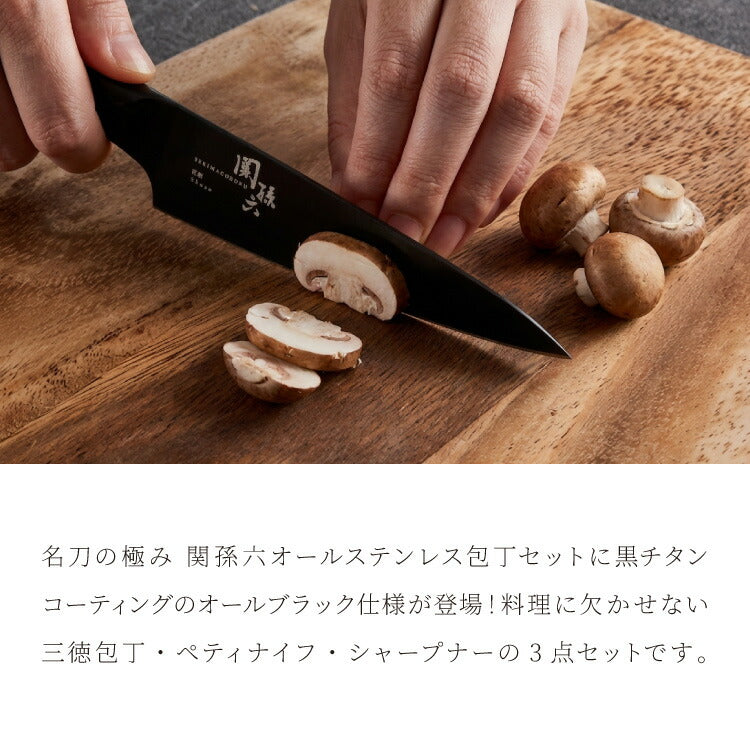 貝印 関孫六 匠創 漆黒 包丁3点セット 黒チタンコート 三徳包丁 ペティナイフ 純正シャープナー 日本製 KAI 食洗機対応 オールステンレス 包丁セット 砥ぎ器ナイフ 関の刃物 三徳3点セット ブラック