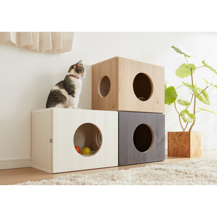 Petofun 職人が考えた 壁掛け キャットステップ 猫ハウス 木製 日本製