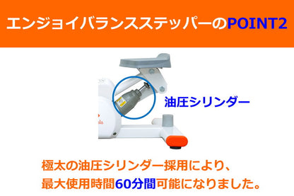 NAMALA エンジョイバランスステッパー ヨガ ストレッチ エクササイズ 体操 運動 スポーツ ヨーガ ピラティス 初心者 瞑想 ビギナー おしゃれ 体操 ウェア トレーニング ナマラ(代引不可)
