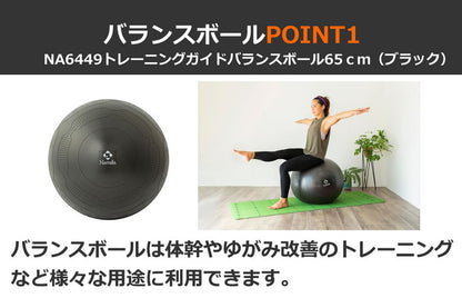NAMALA トレーニングガイド付き バランスボール 65cm ヨガ ストレッチ エクササイズ 体操 運動 スポーツ ヨーガ ピラティス 初心者 瞑想 ビギナー おしゃれ 体操 ウェア トレーニング ナマラ(代引不可)