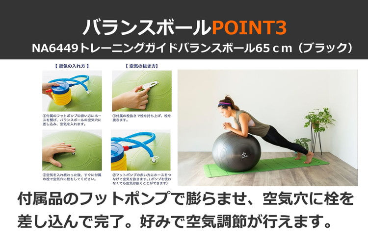 NAMALA トレーニングガイド付き バランスボール 65cm ヨガ ストレッチ エクササイズ 体操 運動 スポーツ ヨーガ ピラティス 初心者 瞑想 ビギナー おしゃれ 体操 ウェア トレーニング ナマラ(代引不可)