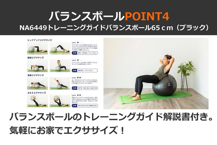 NAMALA トレーニングガイド付き バランスボール 65cm ヨガ ストレッチ エクササイズ 体操 運動 スポーツ ヨーガ ピラティス 初心者 瞑想 ビギナー おしゃれ 体操 ウェア トレーニング ナマラ(代引不可)