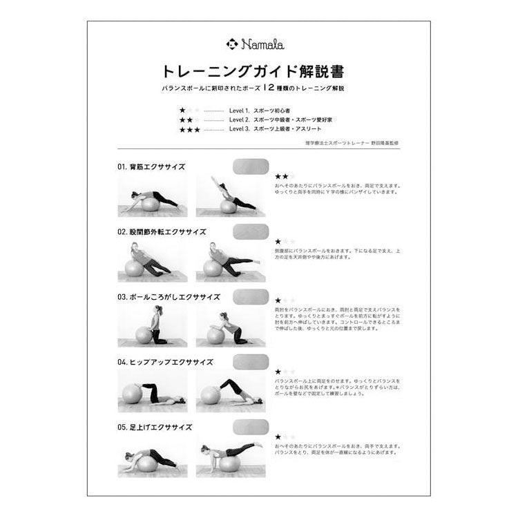 NAMALA トレーニングガイド付き バランスボール 65cm ヨガ ストレッチ エクササイズ 体操 運動 スポーツ ヨーガ ピラティス 初心者 瞑想 ビギナー おしゃれ 体操 ウェア トレーニング ナマラ(代引不可)