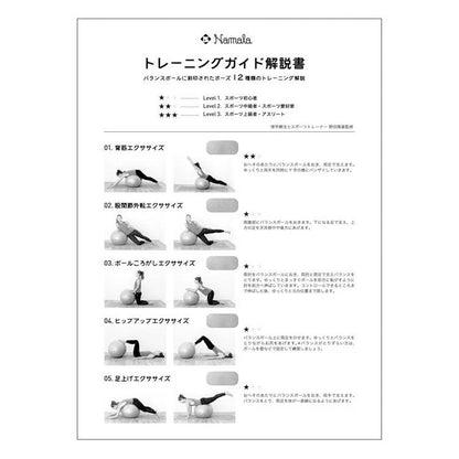 NAMALA トレーニングガイド付き バランスボール 65cm ヨガ ストレッチ エクササイズ 体操 運動 スポーツ ヨーガ ピラティス 初心者 瞑想 ビギナー おしゃれ 体操 ウェア トレーニング ナマラ(代引不可)