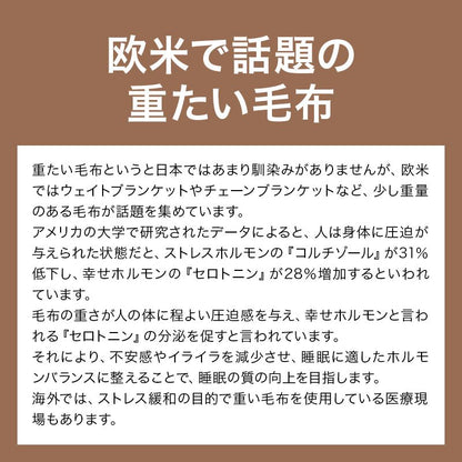 毛布 シングル 140×190cm King's Blanket 少し重い毛布 ウェイトブランケット 無地 暖か キングスブランケット もうふ 寝具