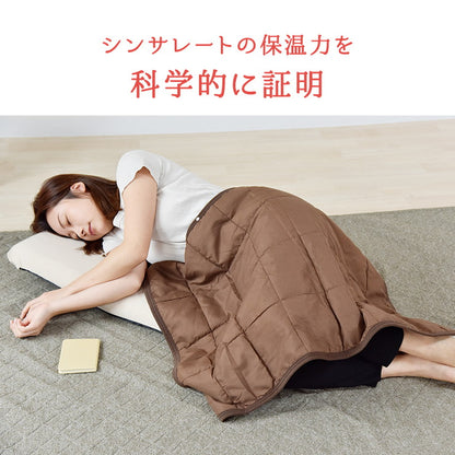 あったかブランケット シンサレート綿使用 70×100 ピーチスキン 毛布 厚手 暖かい 膝掛け毛布 かわいい シンサレート 人気