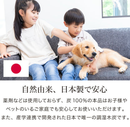 炭 木炭 除湿 調湿 脱臭 消臭剤 湿気 対策 結露 炭八4種類の組み合わせセット Aセット 大袋 室内用 押入れ用 タンス用(代引不可)
